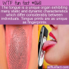 WTF Fun Fact – Tongue Print