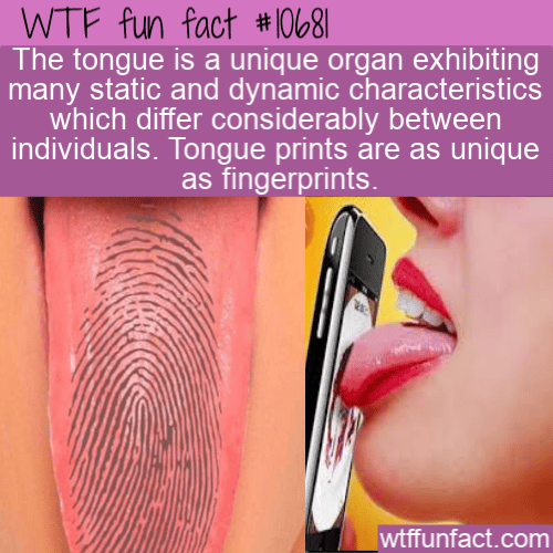 WTF Fun Fact - Tongue Prints For Biometric