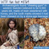 WTF Fun Fact – Old Chewing Gum