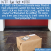 WTF Fun Fact – Dog Poop Lost & Found