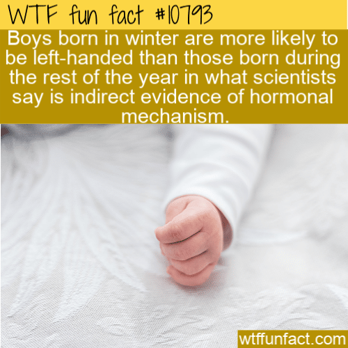 WTF Fun Fact - Hormonal Mechanism