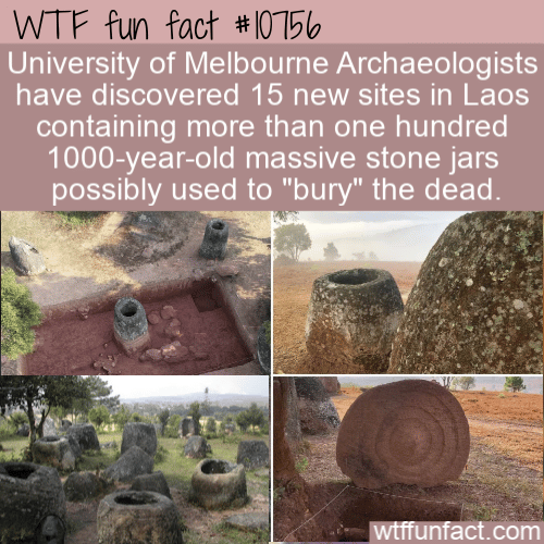 WTF Fun Fact - Jars For Dead