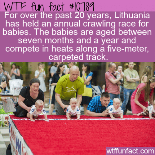 WTF Fun Fact - Lithuania Crawling Race