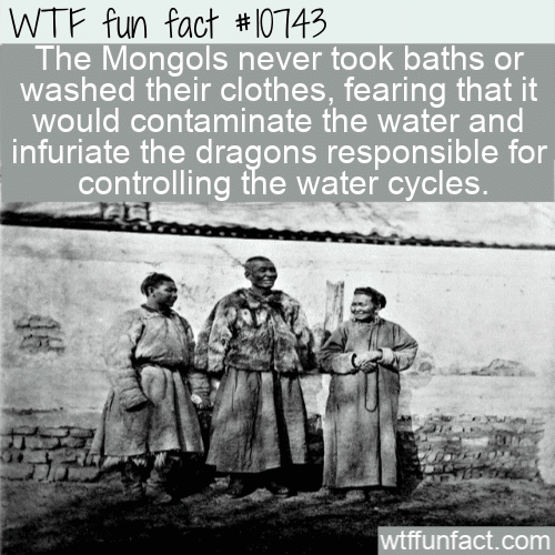 WTF Fun Fact - The Mongols Afraid Of Baths_Washing