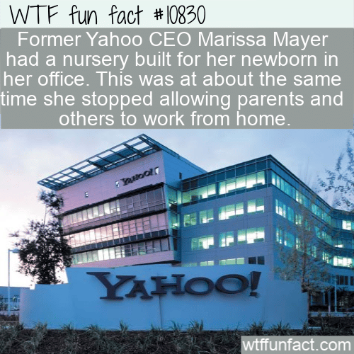 WTF Fun Fact - Savage Yahoo CEO