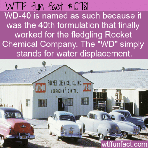 WTF Fun Fact - WD40