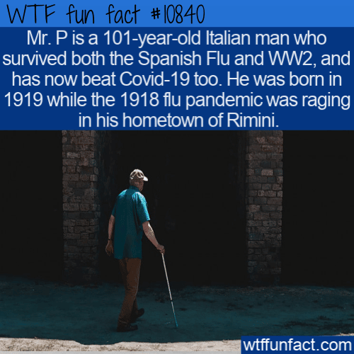 WTF Fun Fact - Mr. P Has Been Fighting For Hundred Years