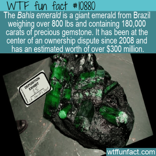 WTF-Fun-Fact-Billionaires-Cant-Buy.png