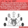 WTF Fun Fact – Cat’s Eye Watch