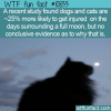 WTF Fun Fact – Full Moon And Animals