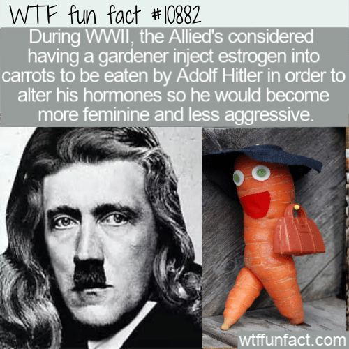 WTF-Fun-Fact-Give-Adolf-Hitler-Breasts.png