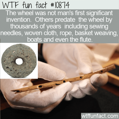 WTF-Fun-Fact-Inventions-Before-The-Wheel.png