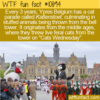 WTF Fun Fact – Kattenstoet