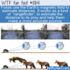 WTF Fun Fact – Fox’s Rangefinder