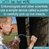 WTF Fun Fact – Pooter