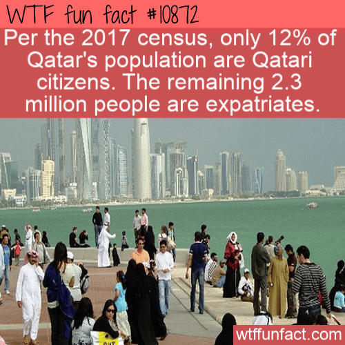 WTF-Fun-Fact-Qatari-Population.png