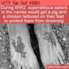 WTF Fun Fact – Pig & Chicken Tattoo