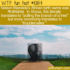 WTF Fun Fact – Troublemaker