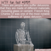 WTF Fun Fact – Material Delusions