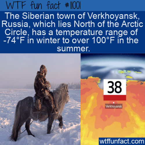 WTF Fun Fact - Arctic Temperatures
