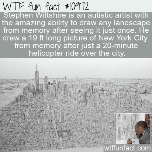 WTF Fun Fact - Artist As Human Camera