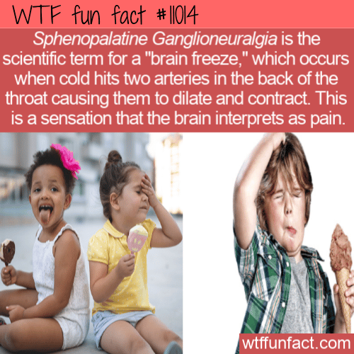 WTF Fun Fact - Brain Freeze