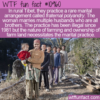 WTF Fun Fact – Fraternal Polyandry