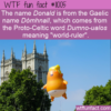WTF Fun Fact – Donald Ruler Of The World