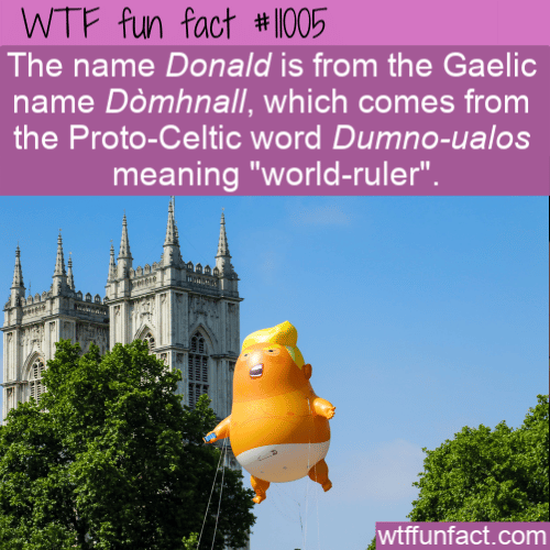 WTF Fun Fact - Donald Ruler Of The World