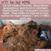 WTF Fun Fact – Stupendemys Geographicus