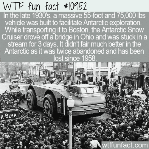 WTF Fun Fact - Greatest Invention Buried Into Snow