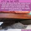 WTF Fun Fact – Guard Crocodiles