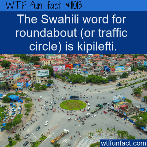 WTF Fun Fact - Kipilefti