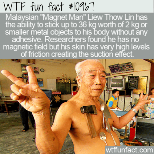 WTF Fun Fact - Liew Thow Lin Mr. Magnet