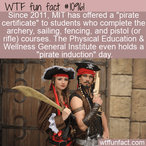 WTF Fun Fact - MITs Pirate Certificate