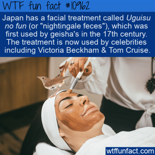 WTF Fun Fact - Nightingale Poop Face Cream(2)
