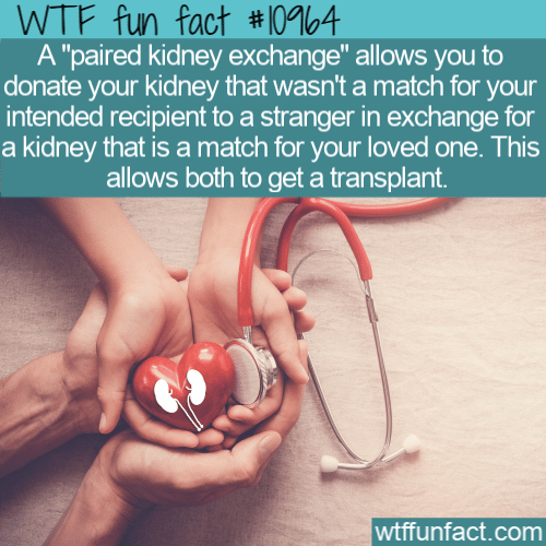 WTF Fun Fact - Paired Kidney Exchange