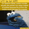 WTF Fun Fact – Rice Cake Monster