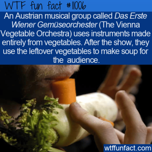 WTF Fun Fact - Vegetables Can Be Used For Music