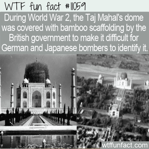 WTF Fun Fact - Bamboo Covered Taj Mahal