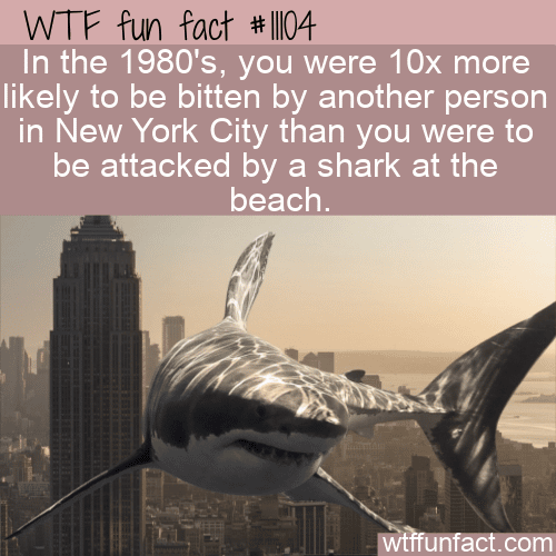WTF Fun Fact - Bitten By A Shark Or Human