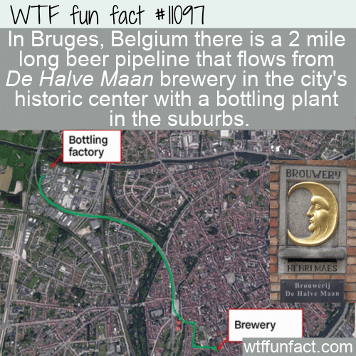 WTF Fun Fact - Bruges Beer Pipeline