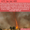 WTF Fun Fact – Fire Tornado