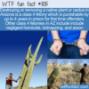 WTF Fun Fact – How Arizona Protects Cacti