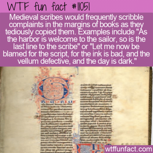 WTF Fun Fact - How Scribes Vent