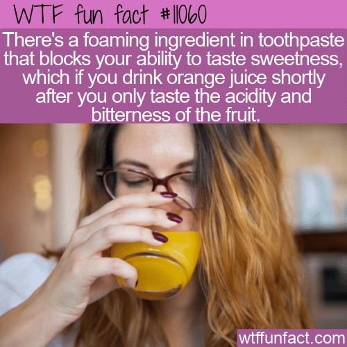 WTF Fun Fact - OJ And Toothpaste