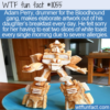WTF Fun Fact – Toast Artwork