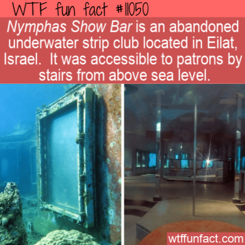 WTF Fun Fact - Underwater Strip Club