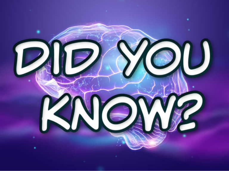 Did You Know? Facts & Trivia The Most Interesting Site