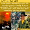 WTF Fun Fact – Apocalypse Now Bodies